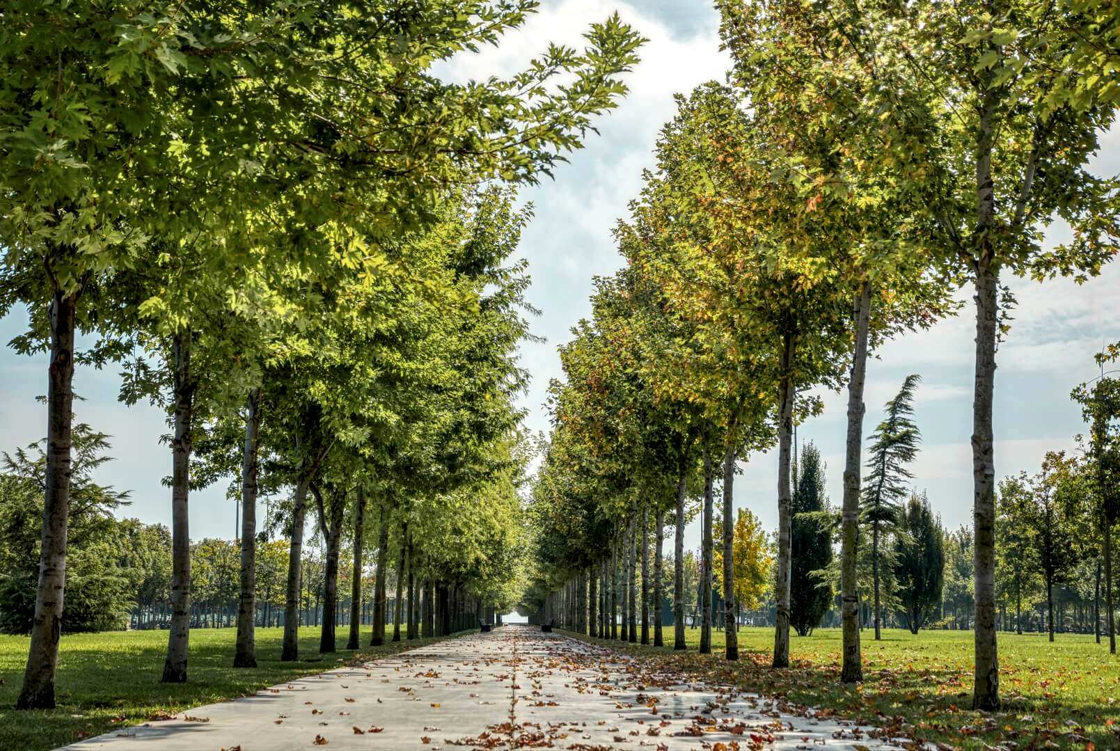 National Gardens & Parks