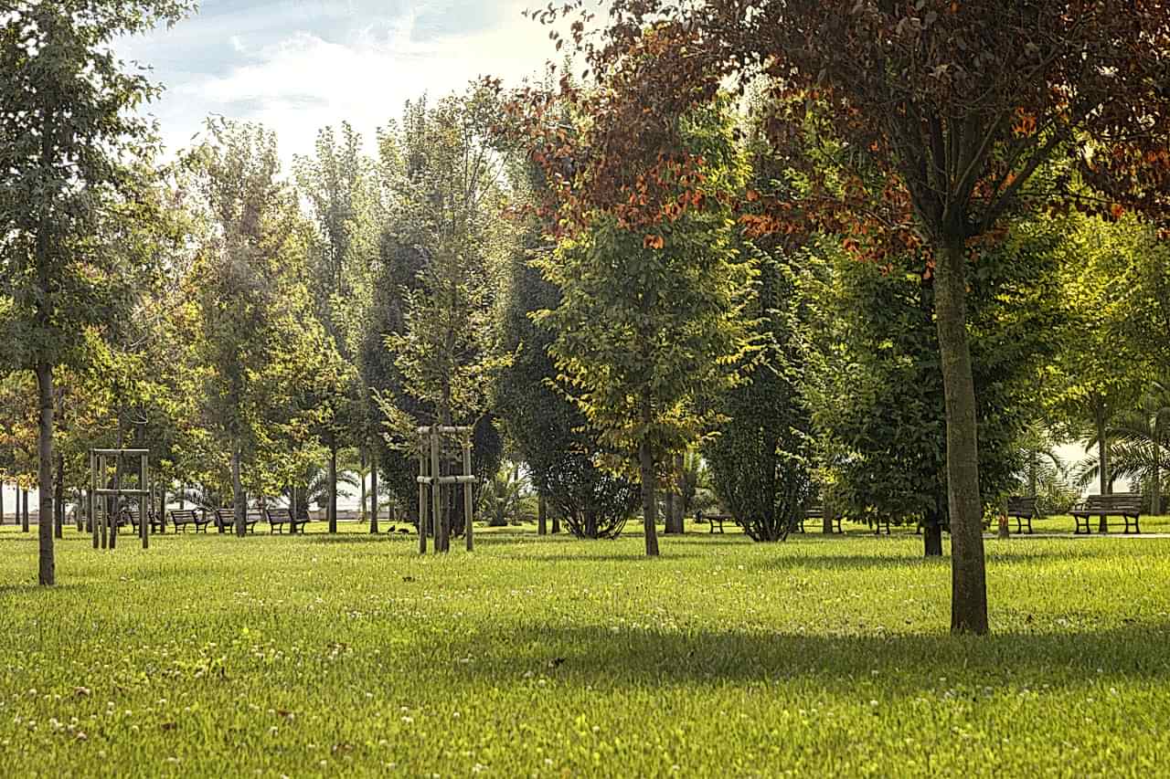 CONSTRUCTION OF NEW GREEN AREAS IN ISTANBUL
